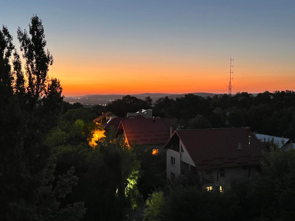 Altheda Living Zamca Apartman Szucsáva Kültér fotó